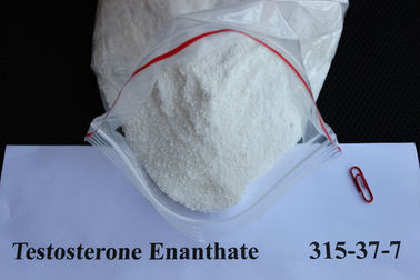中国 CAS 315-37-7 99% のテストステロン Enanthate/筋肉成長のためのテスト E 白い粉 サプライヤー