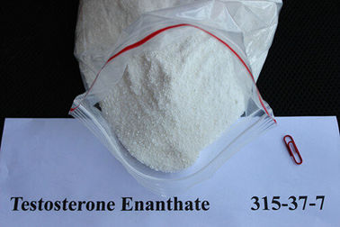 中国 テストステロンの エナント酸 の安全な同化薬剤のステロイドの原料 CAS 315-37-7 サプライヤー