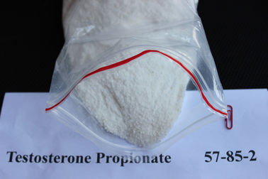 中国 テストステロンのプロピオン酸塩 57-85-2 人のための自然な法的筋肉建物のステロイドの粉 サプライヤー