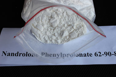 中国 口頭薬剤のステロイドの未加工 ナンドロロン の Phenylpropionate のテストステロンの粉 62-90-8 サプライヤー