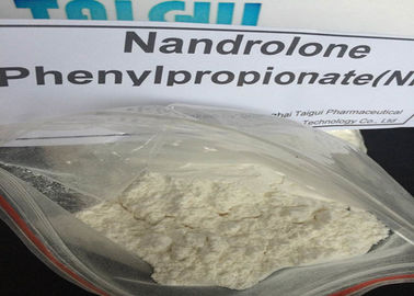 中国 口頭 Nandrolone の Phenylpropionate NPP Durabolin の粉 CAS 62-90-8 サプライヤー